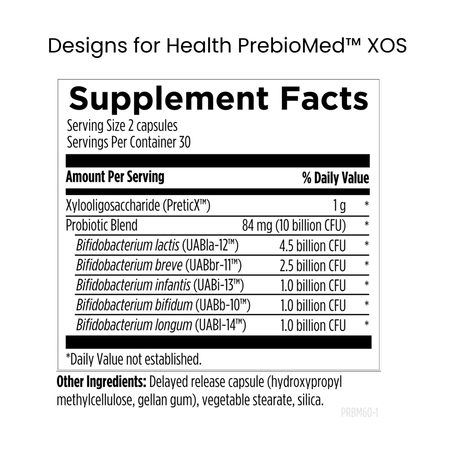 The Urban Monk - Candida