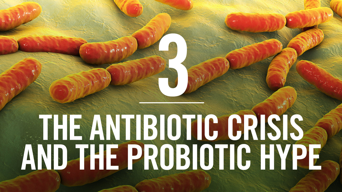 Interconnected Supported