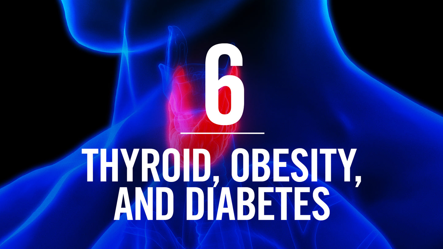 Interconnected Supported