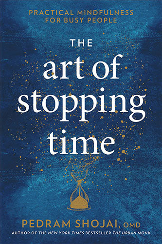 Art of Stopping Time Book